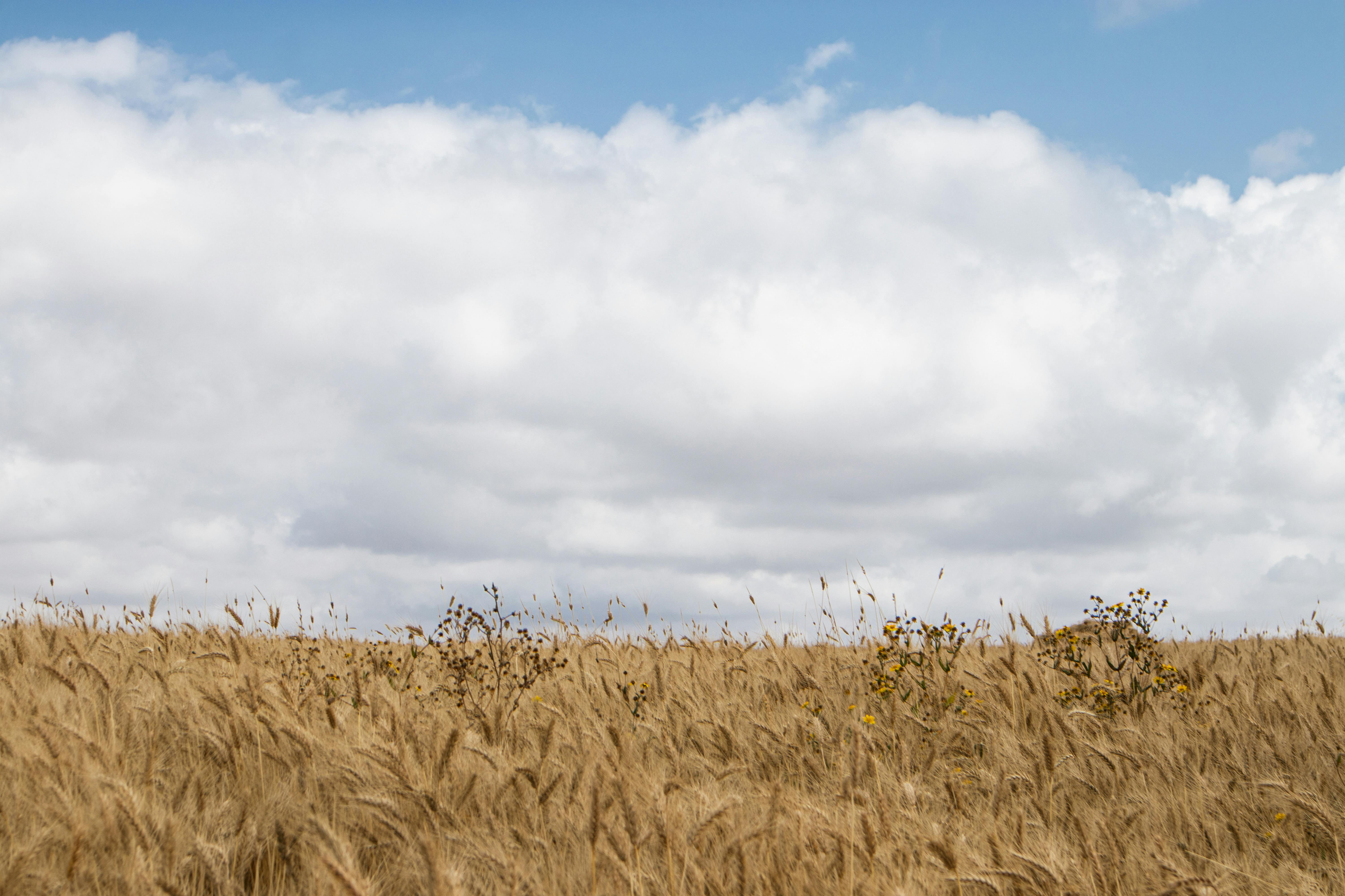 好的，我会根据您的要求进行文本编辑