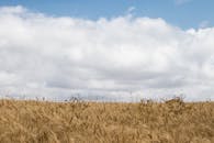 好的，我会根据您的要求进行文本编辑