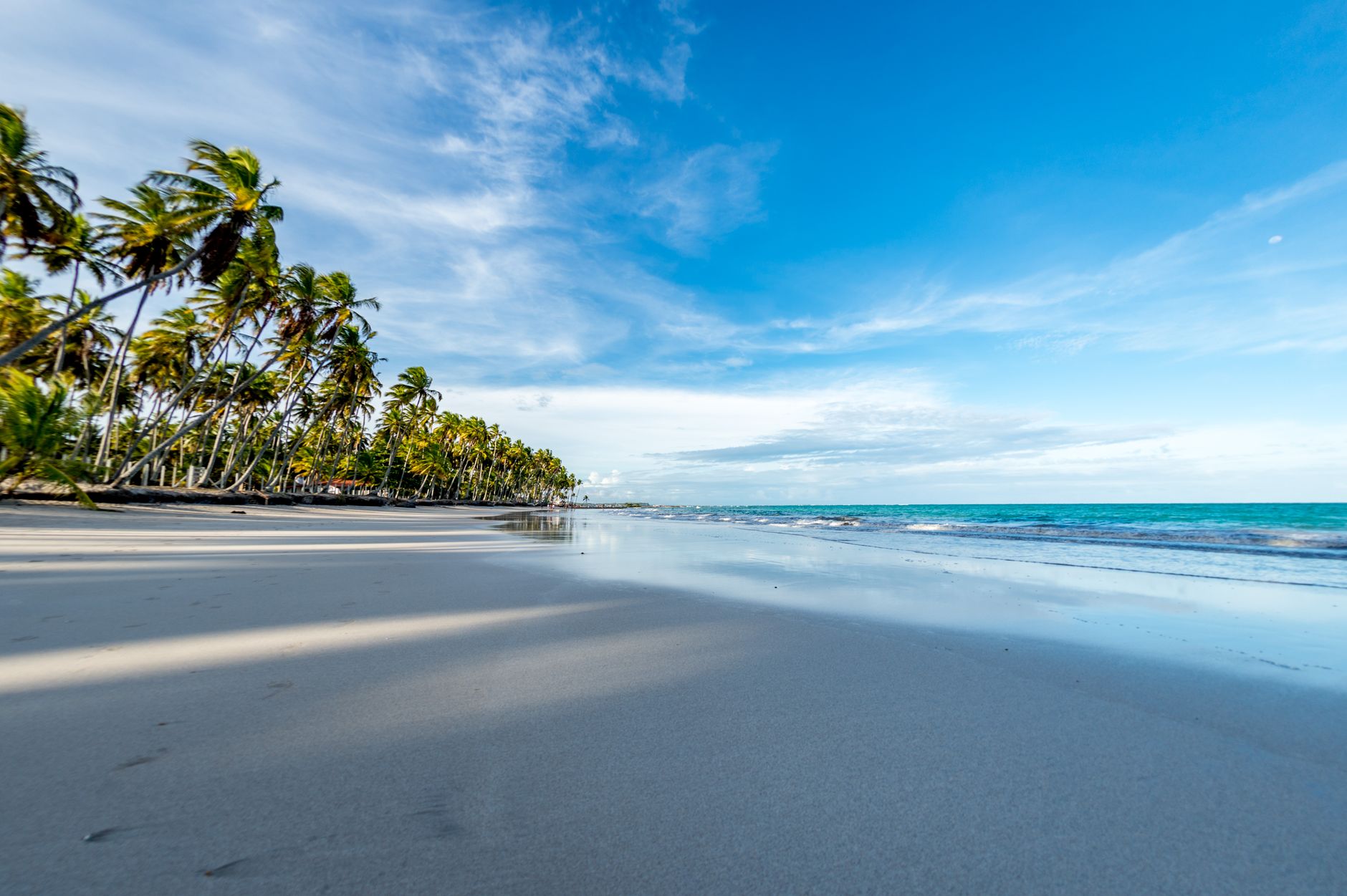Empty beach with coconut palms at Atican
