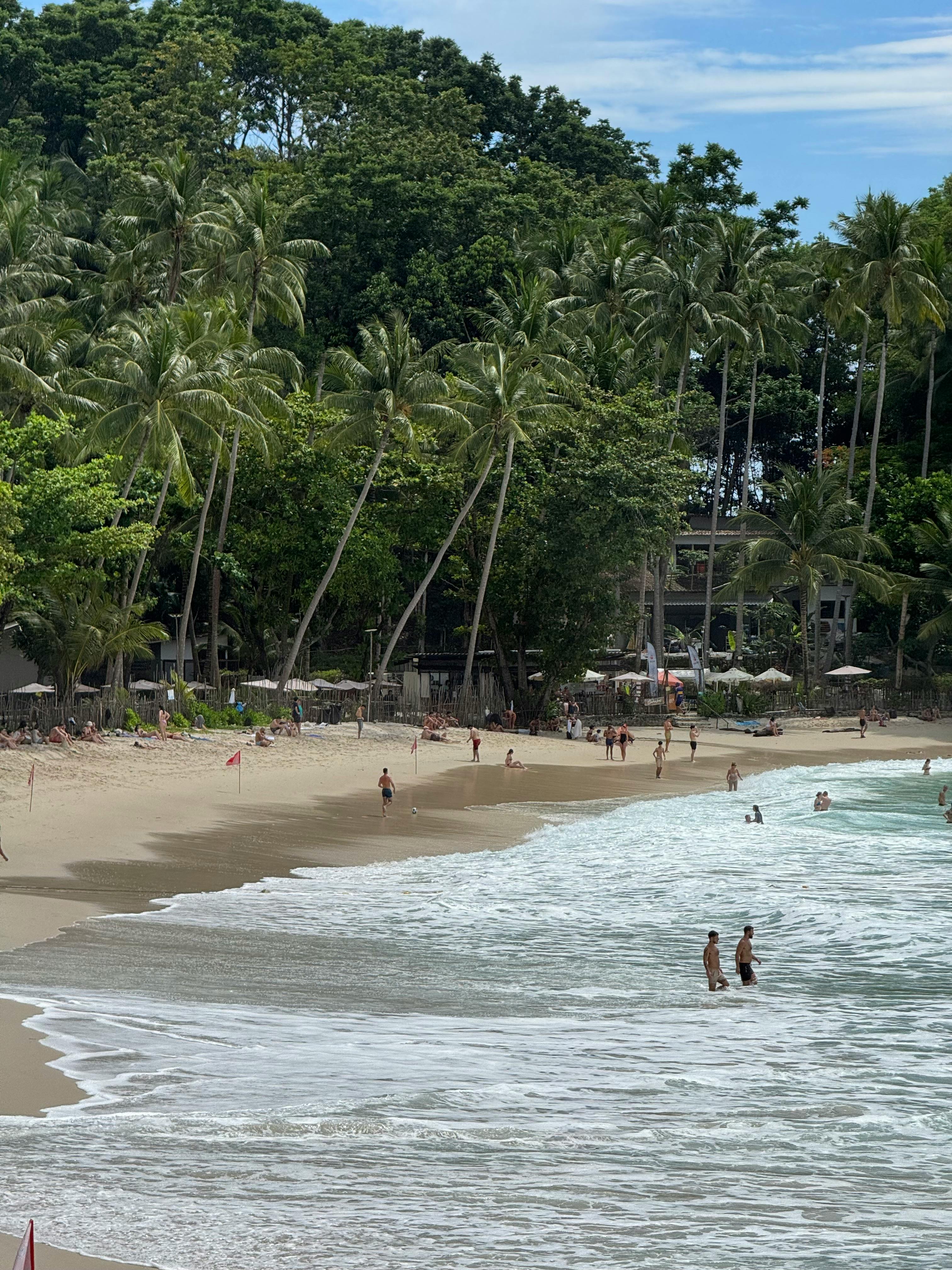 好的，我会按照您的要求进行句子的优化
