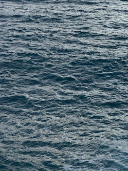 大海的颜色是蔚蓝色的，给人一种广阔和深远的感觉