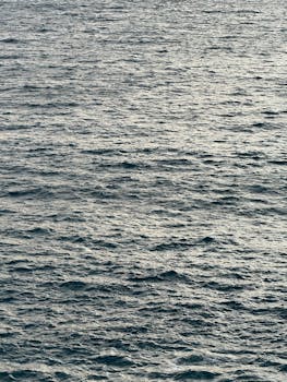 好的，我会按照您的要求进行文本编辑