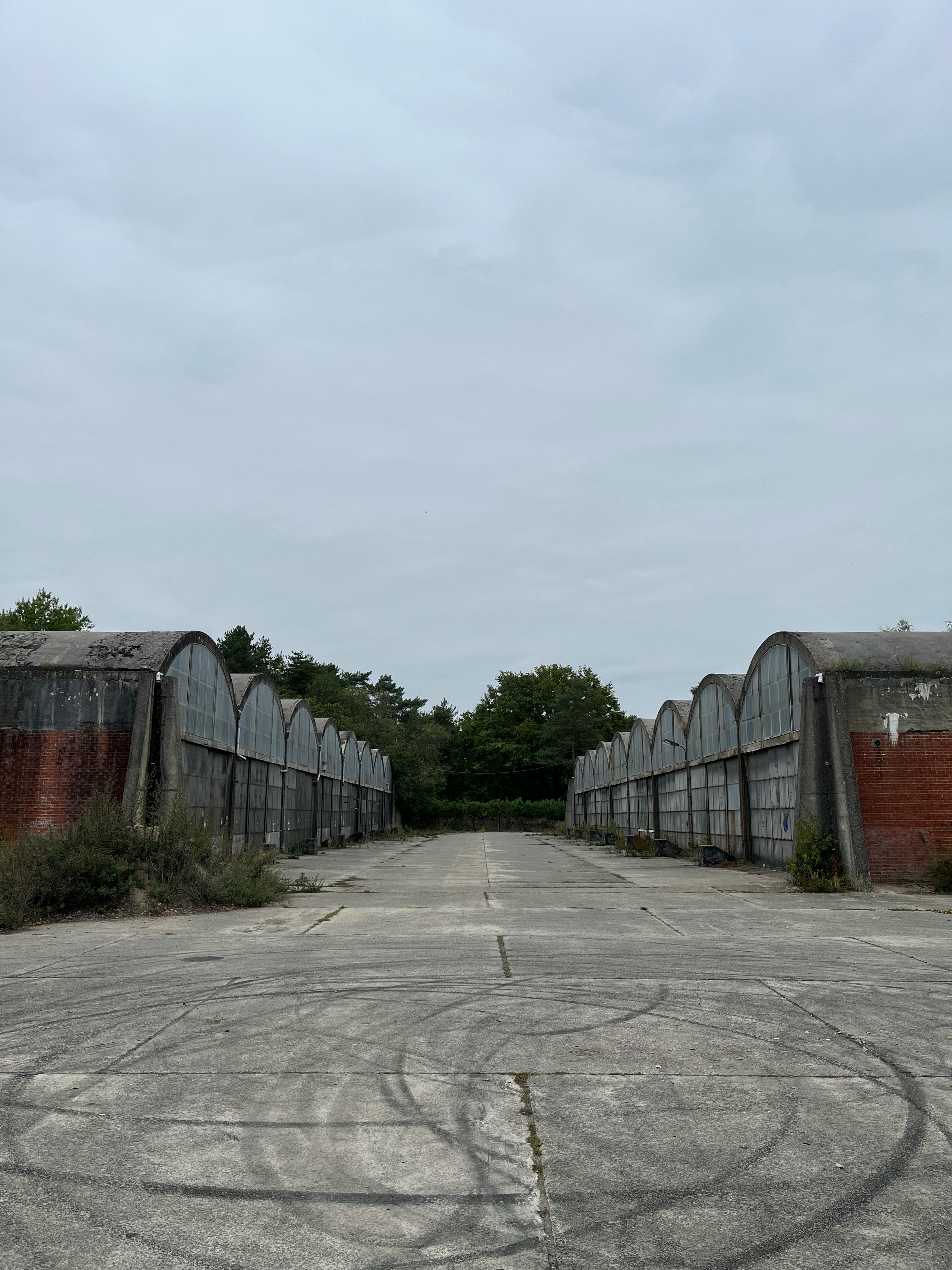 好的，我会按照您的要求进行句子的优化