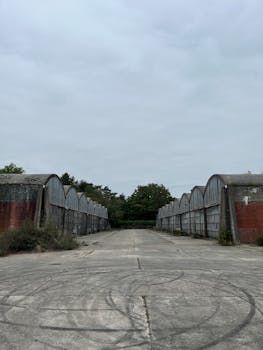 好的，我会按照您的要求进行句子的优化