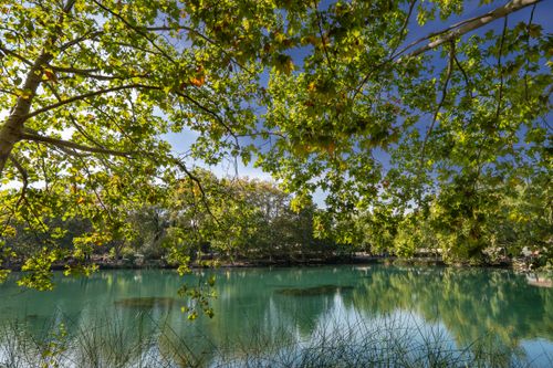 Free Serene lake scene under lush green foliage in Anna, Valencia, Spain Stock Photo