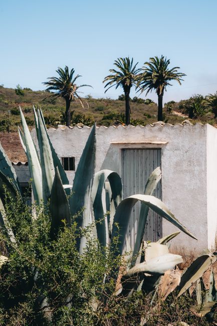 Explore the scenic beauty of Arure, Spain with rustic architecture and lush landscape.