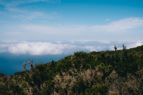 Free Explore the breathtaking greenery and cloud inversion from Arure, a hidden gem in Canarias, Spain. Stock Photo