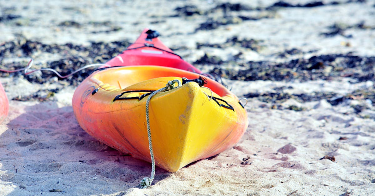 Free stock photo of canoe, couleurs, kayak