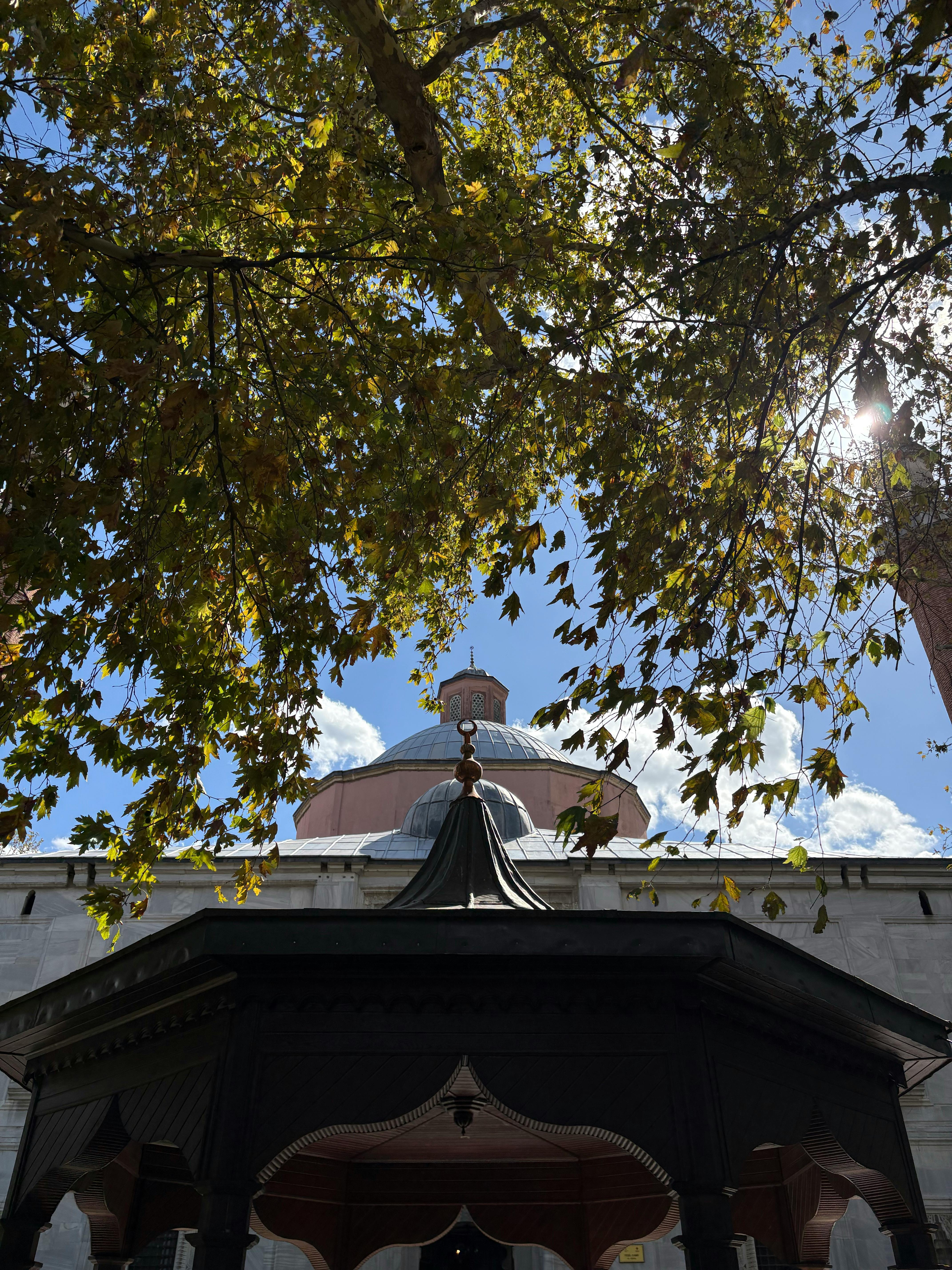 好的，请提供您希望我进行语序优化的句子