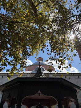 好的，请提供您希望我进行语序优化的句子