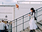 在伊斯坦布尔的街景中，可以看到楼梯上有一只猫和行人