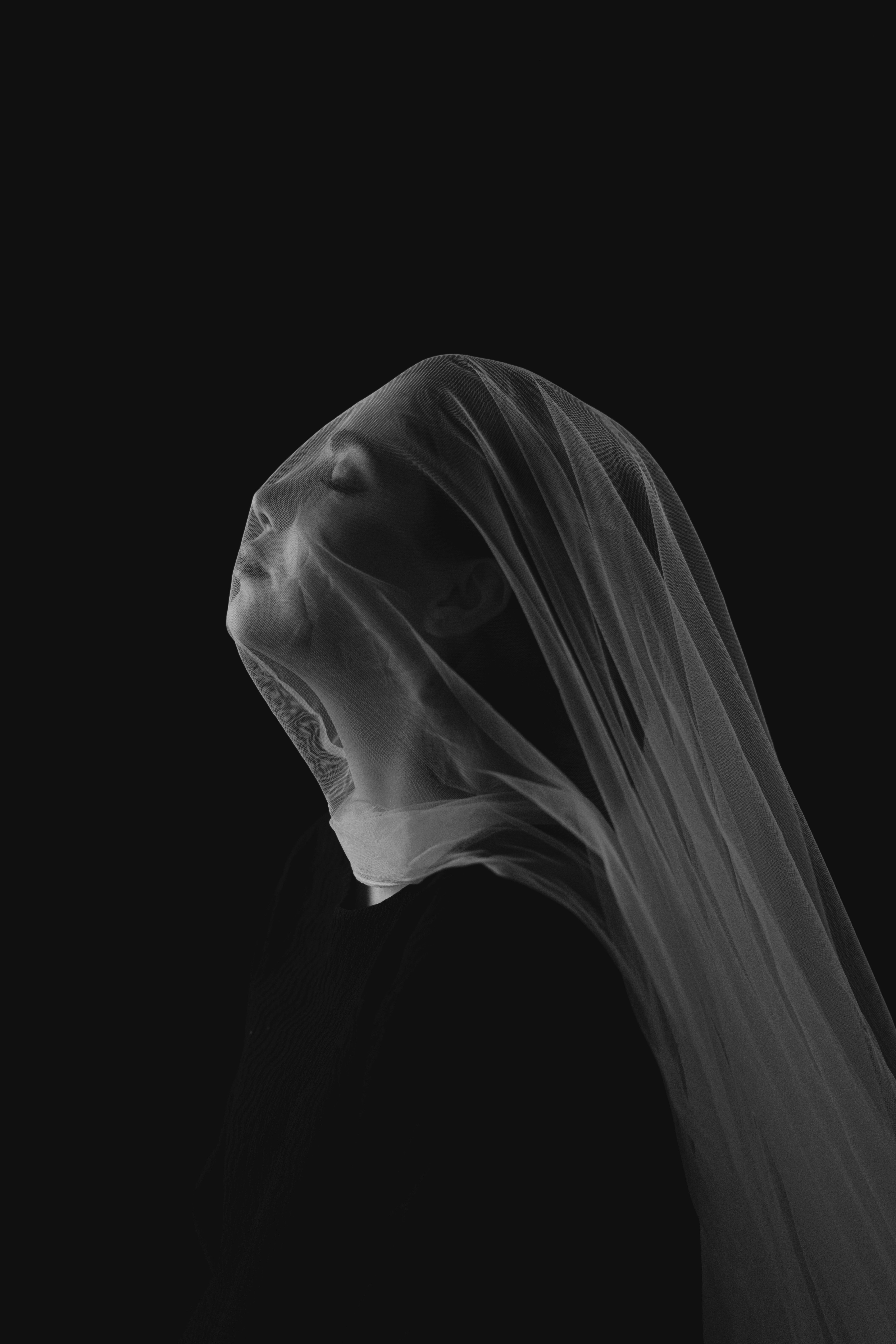 Artistic Portrait of Woman with Veil in Black and White · Free Stock Photo