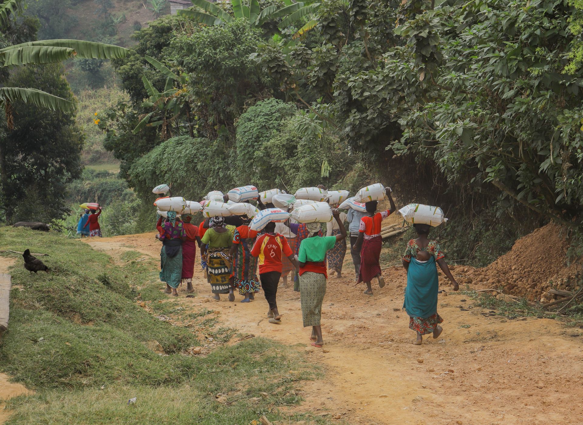 A group of women carrying heavy sacks on a dirt path in a lush, rural African landscape.