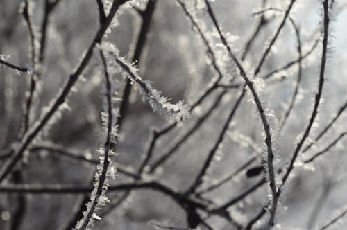 La Niña Returns Soon, Steering Winter Weather Patterns