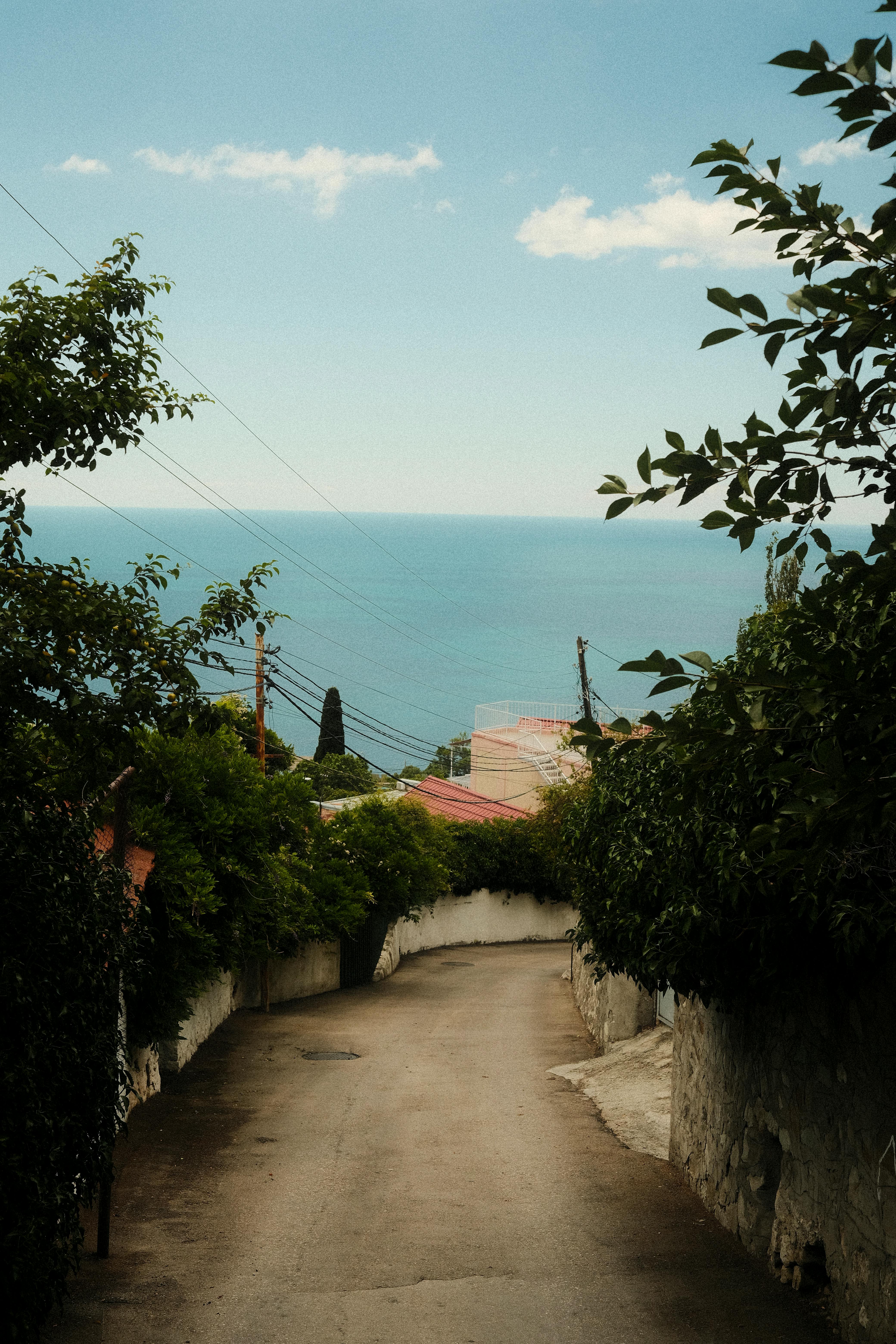 安静的沿海道路通向令人惊叹的海景，周围绿树成荫