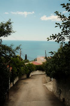 安静的沿海道路通向令人惊叹的海景，周围绿树成荫