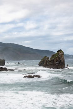 原句：
你是一名专业的文本编辑，擅长纠正由其他语言直译成中文时产生的不自然语序