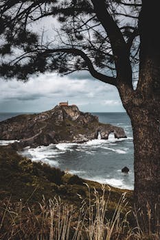 好的，我会按照您的要求进行句子优化