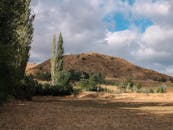 好的，我会按照您的要求进行句子的优化