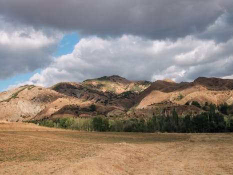 您的请求未提供具体的句子，因此我无法进行优化