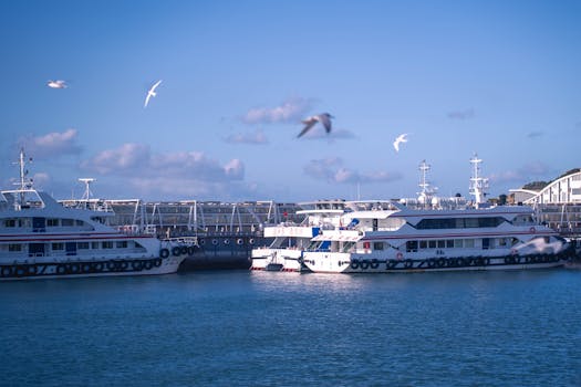 宁静的港口场景，渡轮停靠在蓝天下，周围都是海鸥