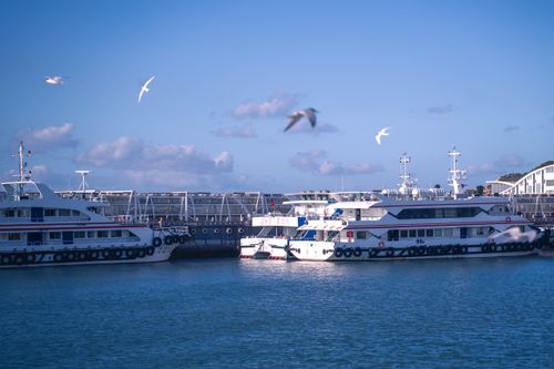 Free Tranquil harbor scene with ferries docked under a blue sky, surrounded by seagulls. Stock Photo