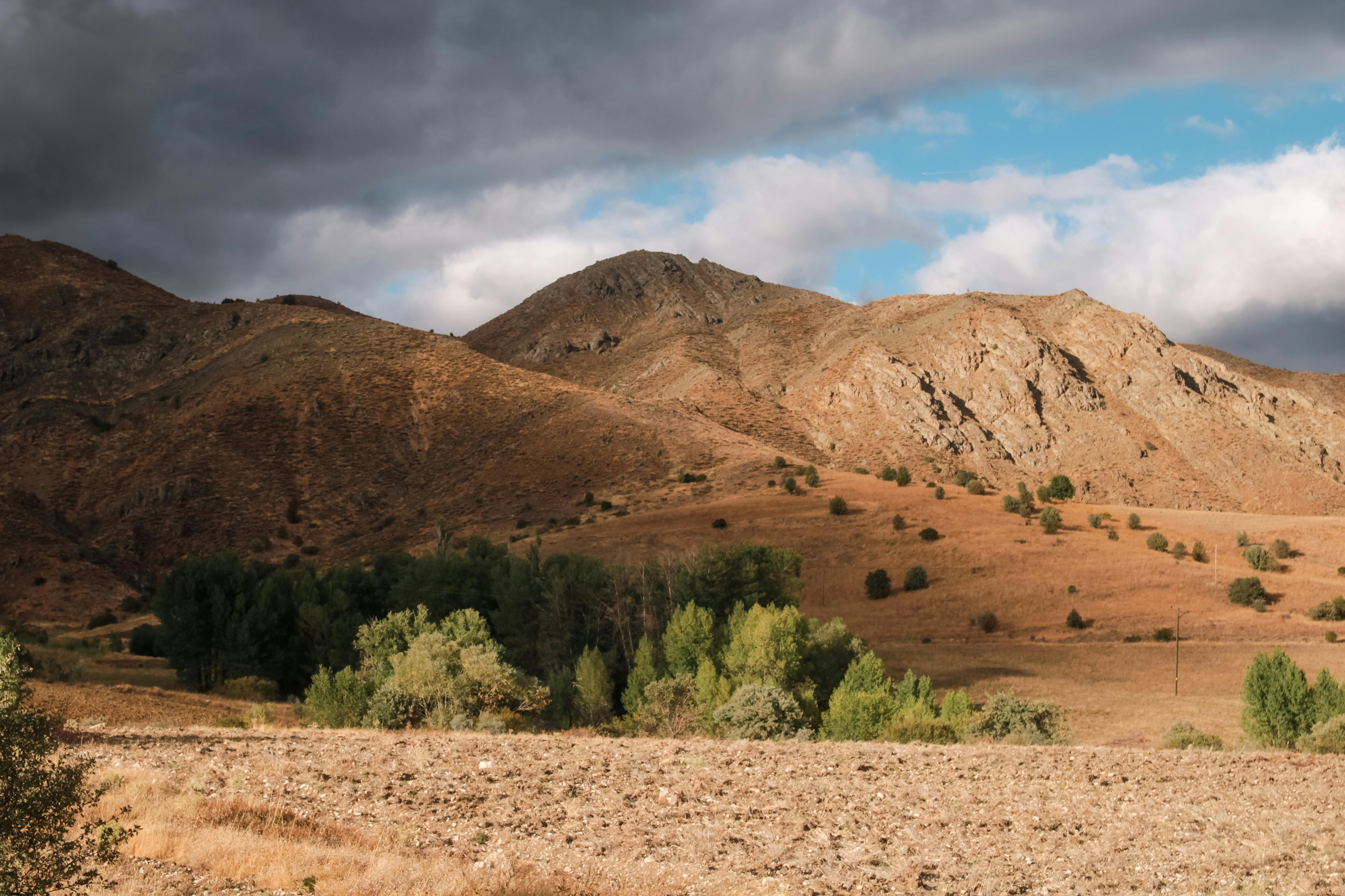 好的，我会按照您的要求进行文本优化