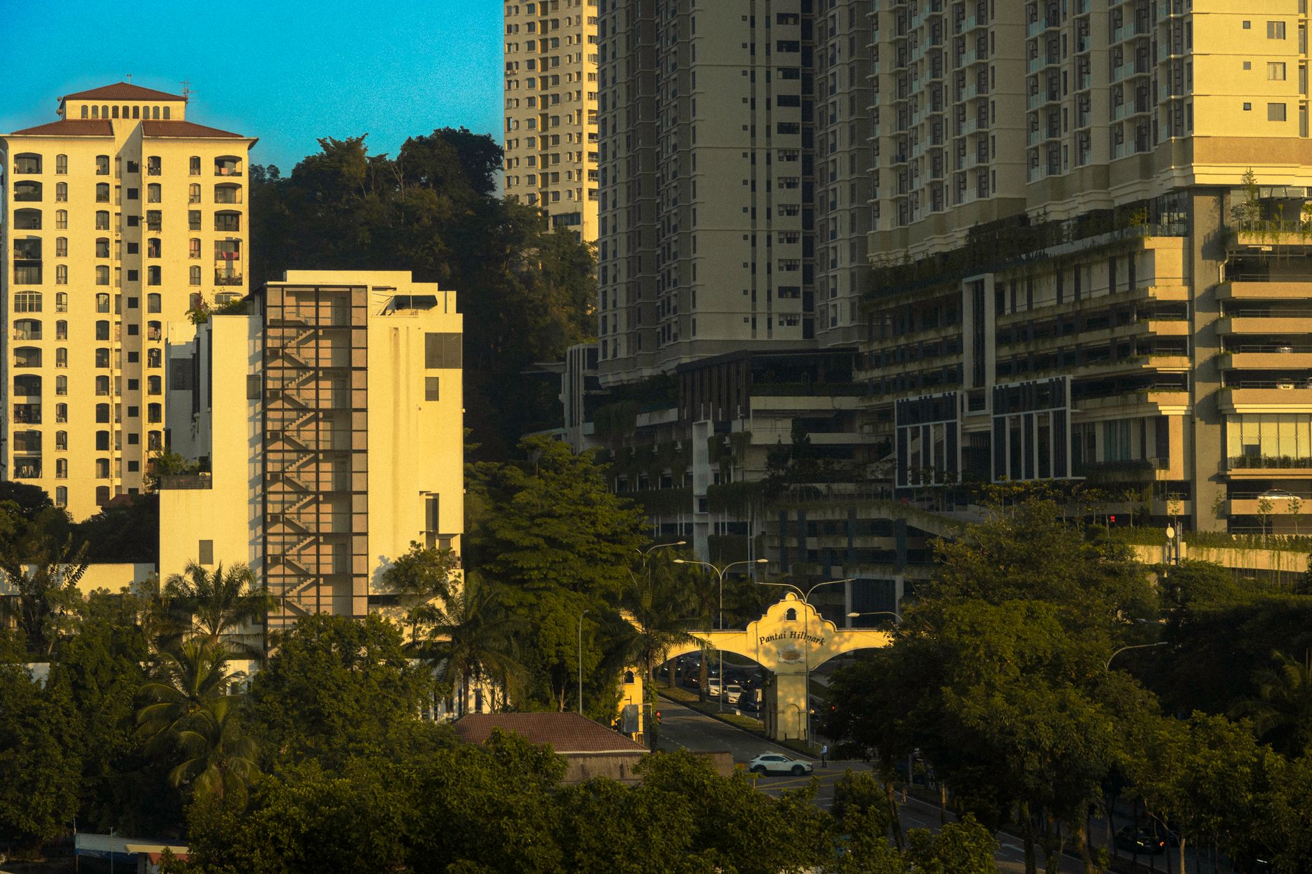 A contemporary residential landscape at warm golden hour