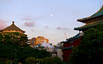 在月光的照耀下，台北的城市建筑显得格外迷人