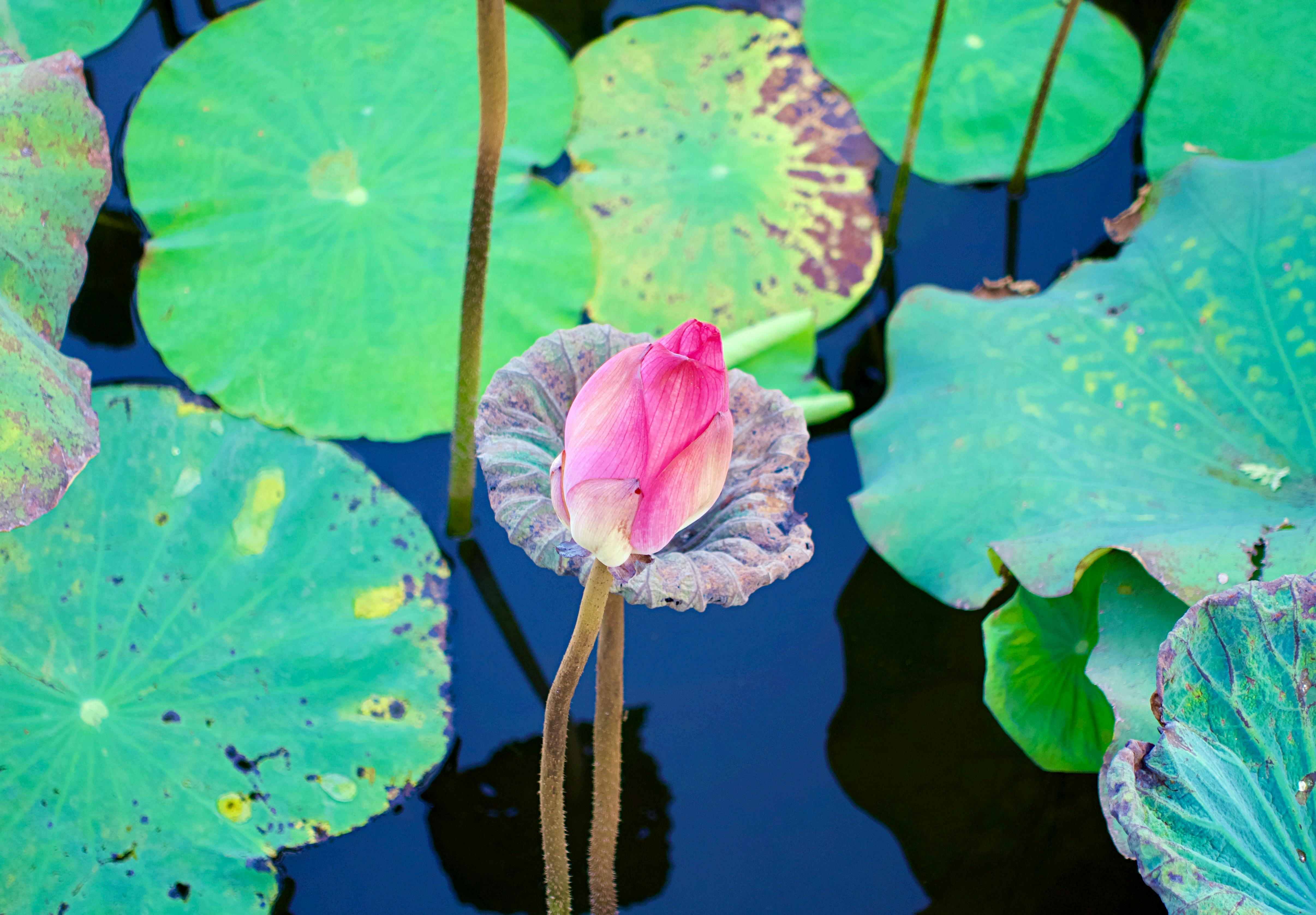 生活：台灣東部海域發生規模5地震，花東最大震度達3級