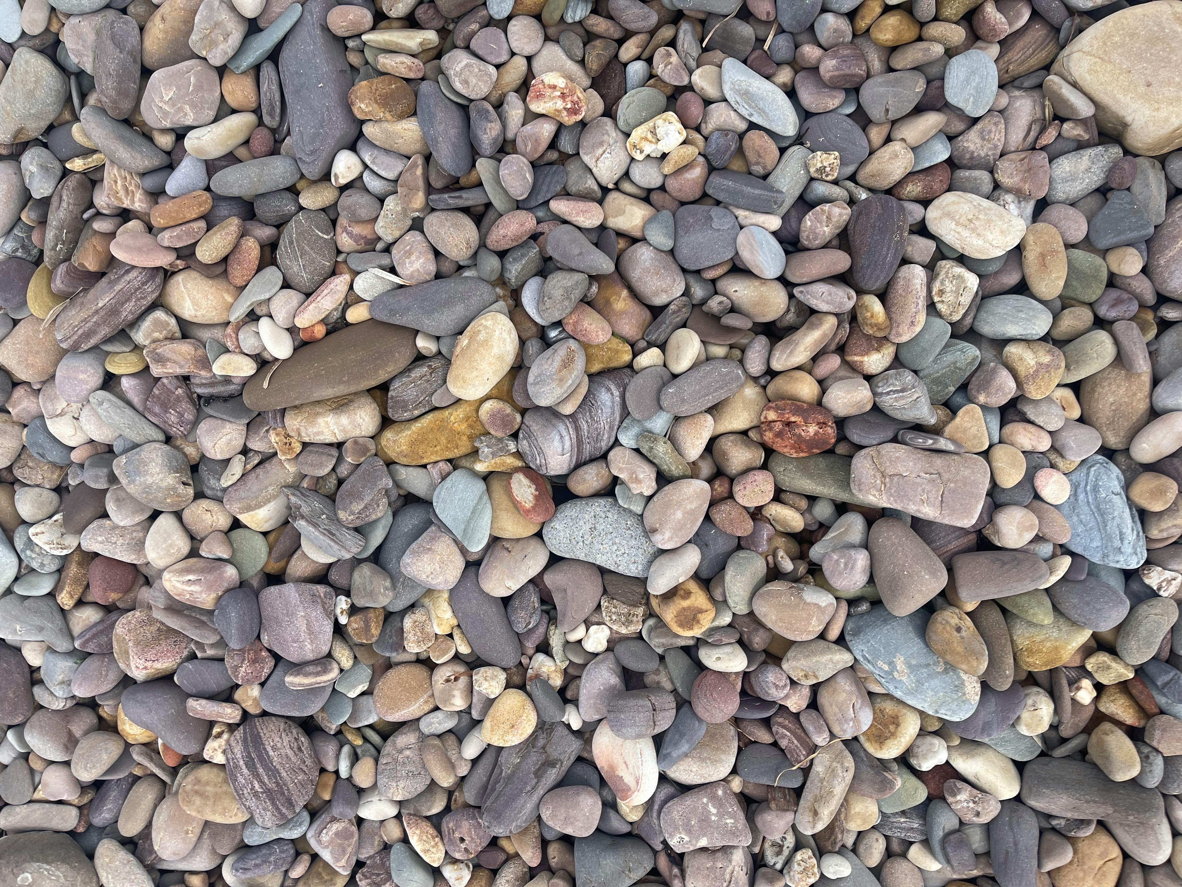 Gratis Livlig blanding av småstein på en strand i Sør-Australia, ideell som bakgrunn. Arkivbilde