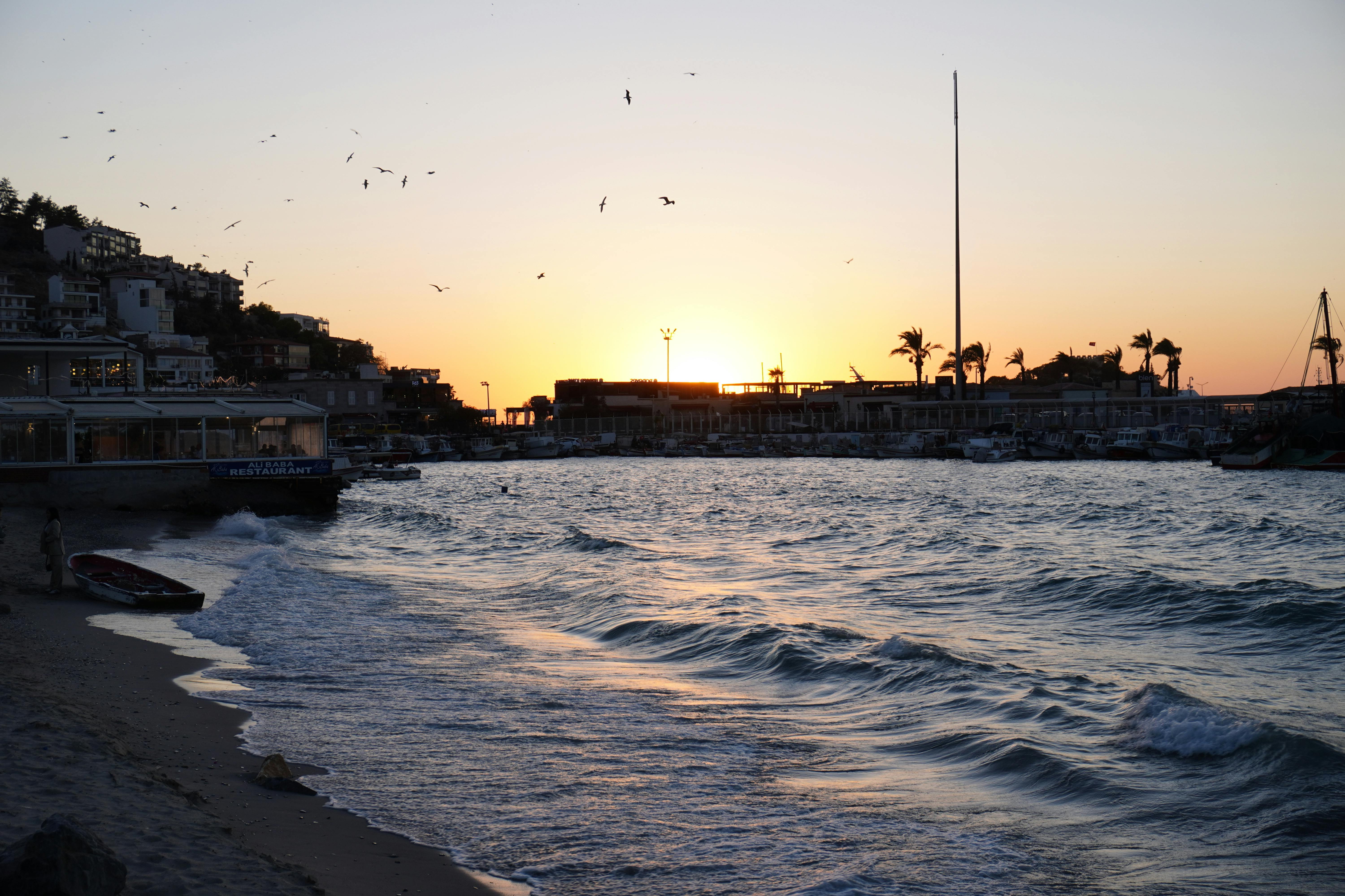 好的，以下是优化后的句子：
你是一名专业的文本编辑，擅长纠正由其他语言直译成中文时产生的不自然语序