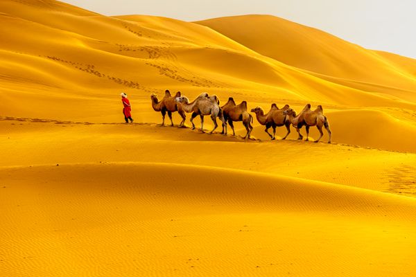 Jaisalmer Desert Safari holiday package