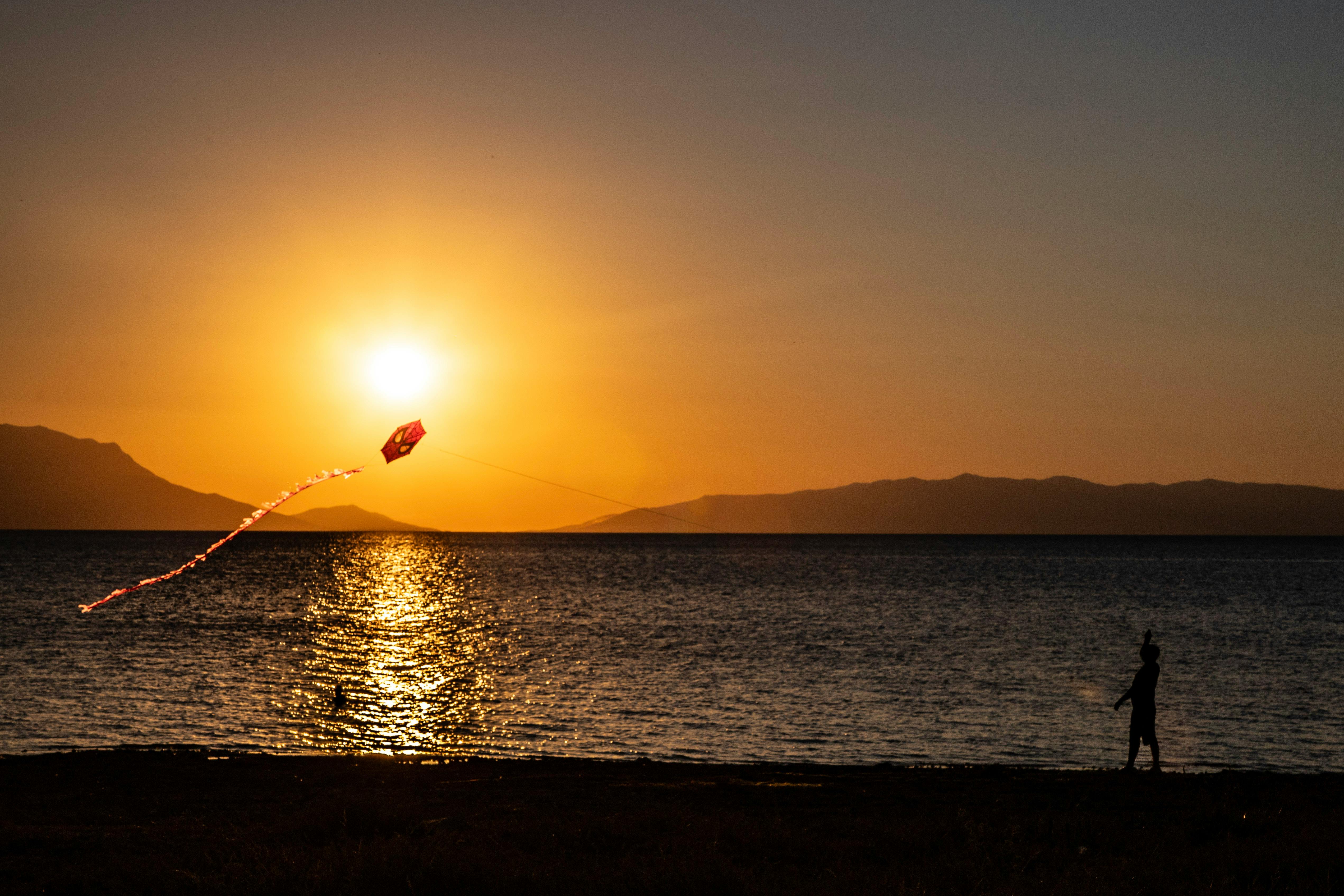好的，我将根据您的要求进行句子的优化