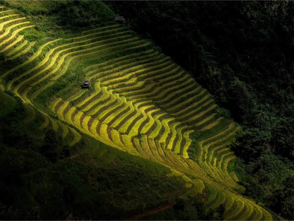 2 Day Meditation Retreat in Yen Tu - Ha Long, Vietnam 2