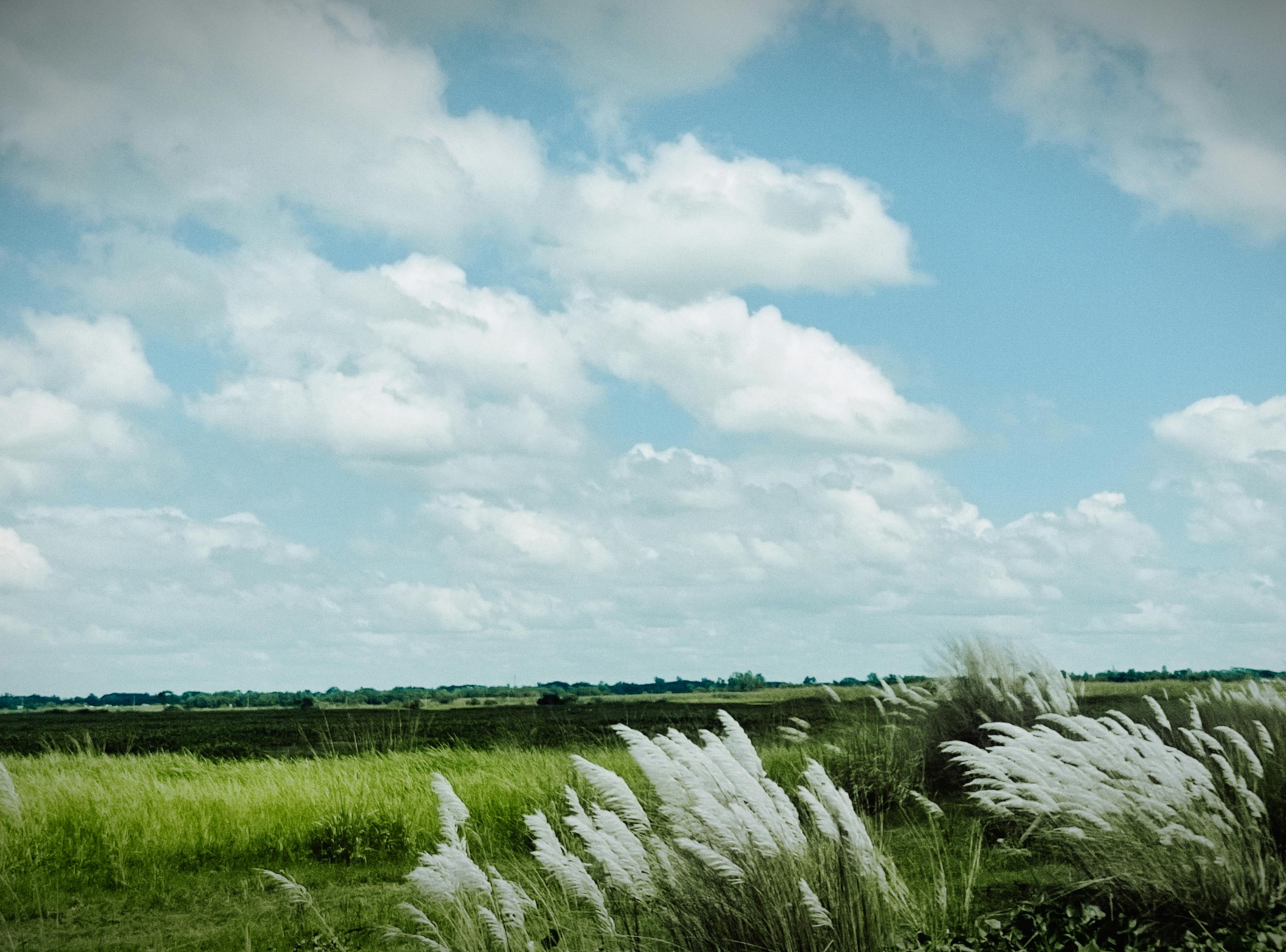 好的，我明白了