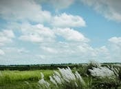 好的，我明白了