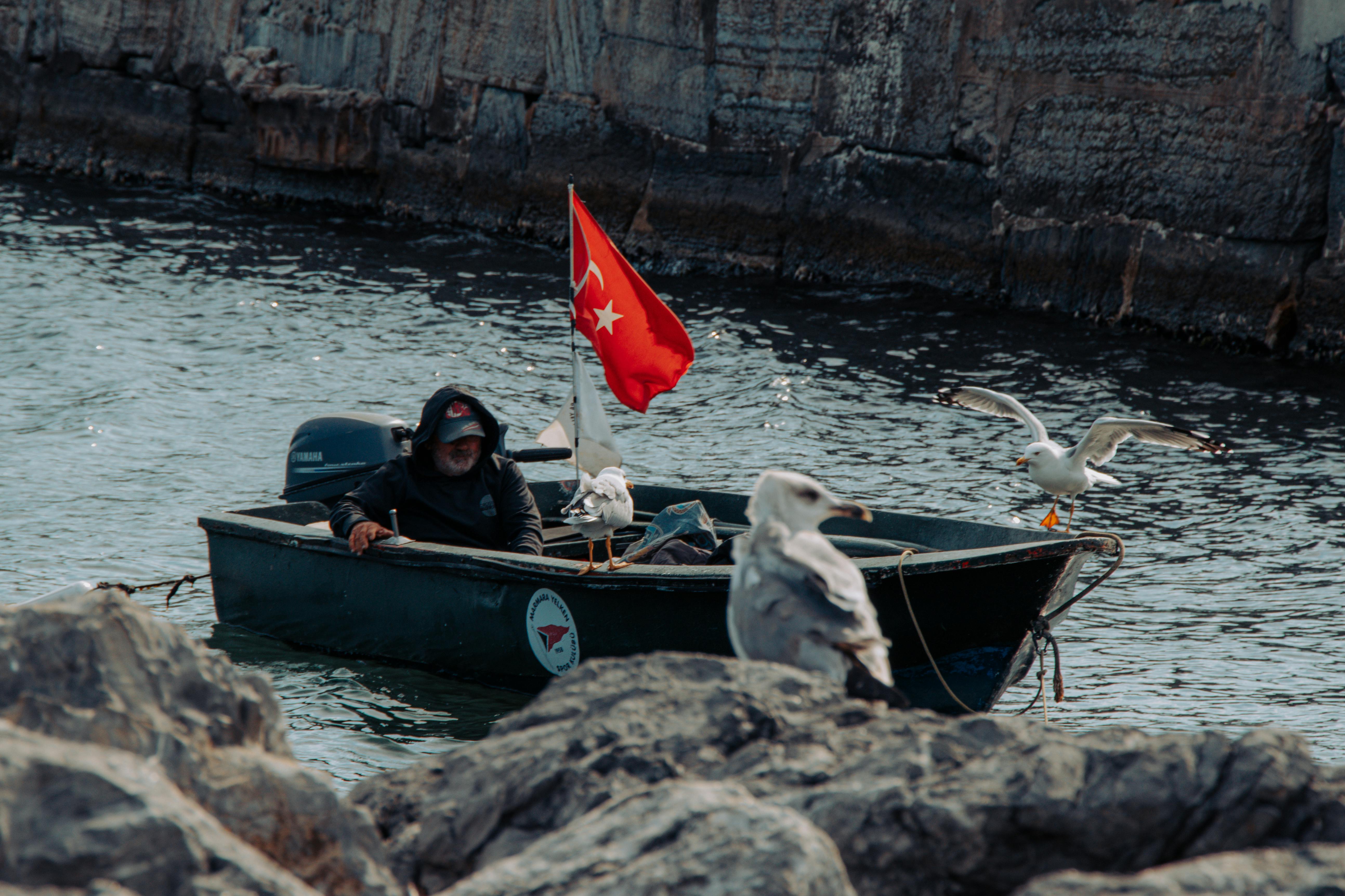 一名渔民站在船上，周围飘扬着土耳其国旗和海鸥，靠近伊斯坦布尔的岩石海岸