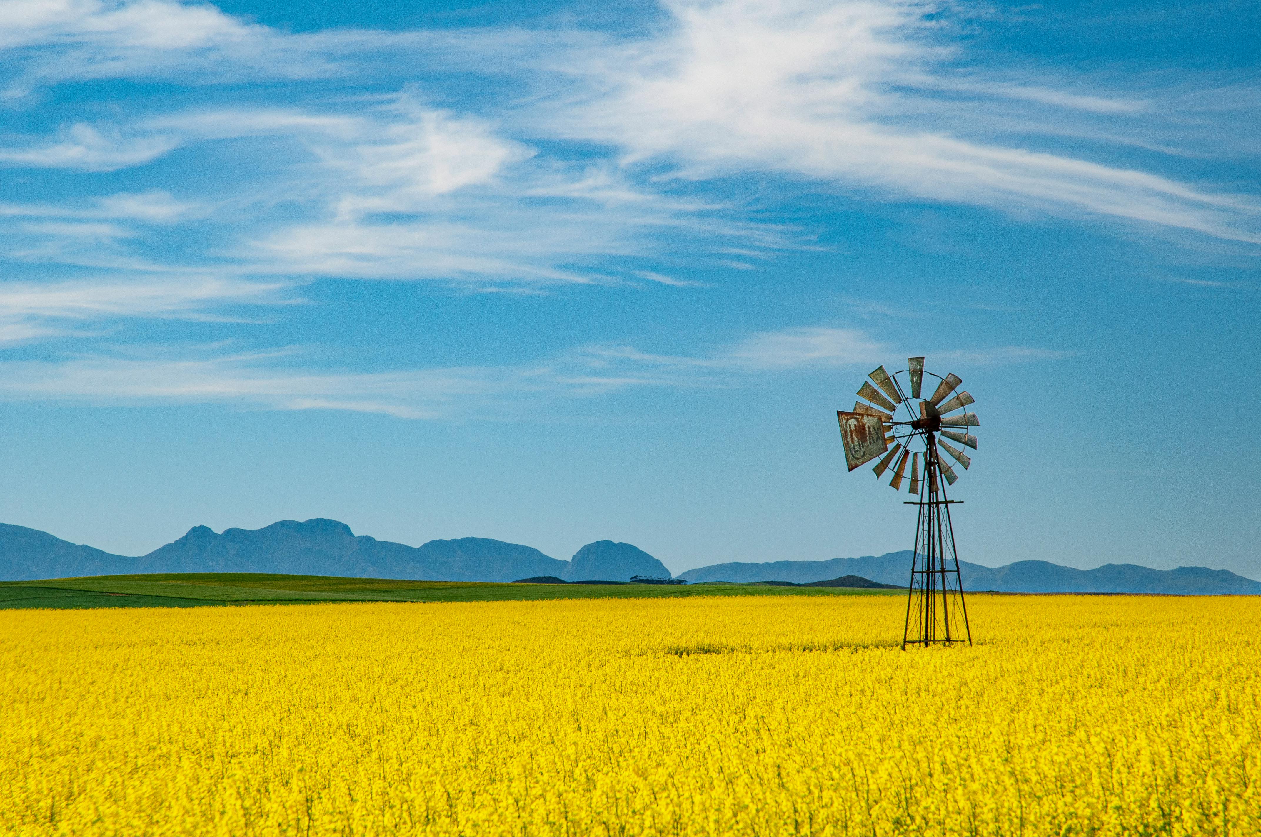 Africa deține un potențial uriaș în energie verde, țările optează pentru surse regenerabile, spun experții.