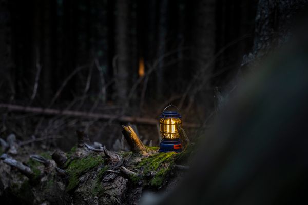 A glowing lantern resting on a log in a night forest — Emre Mavi on Pexels