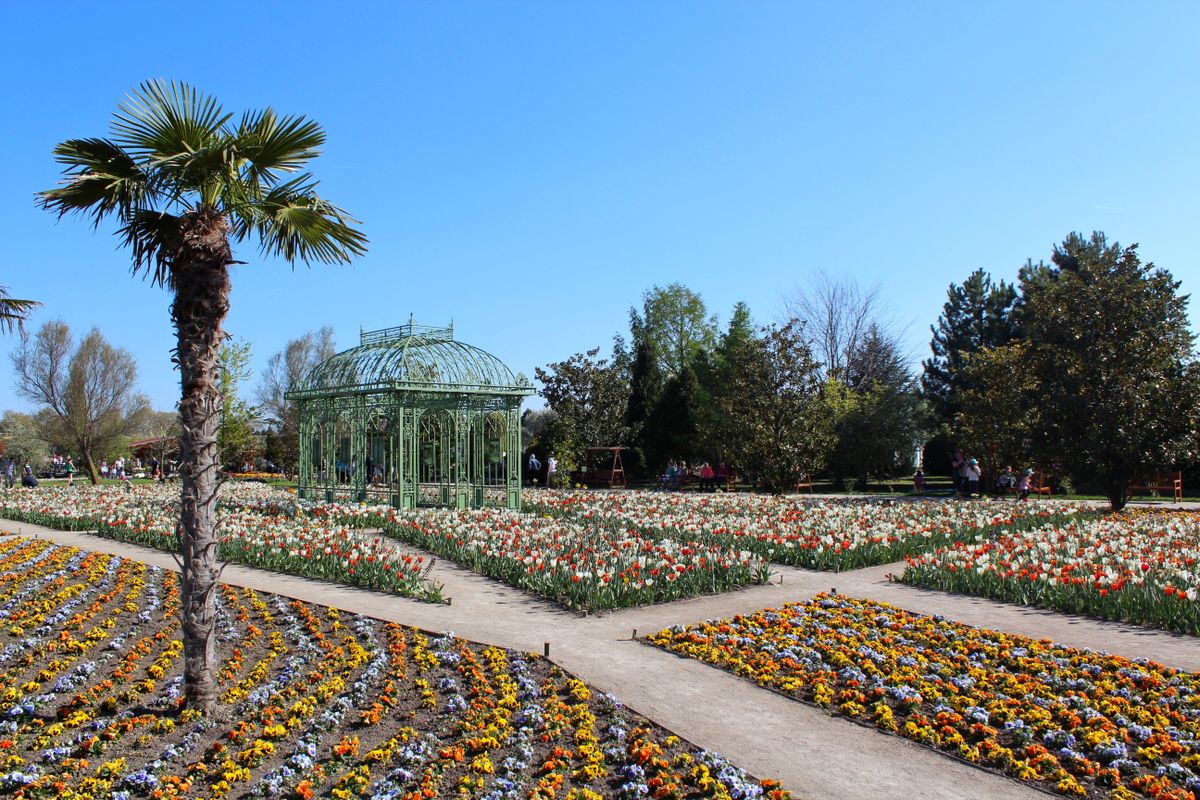 Blühender Schlossgarten in Wien im Frühling