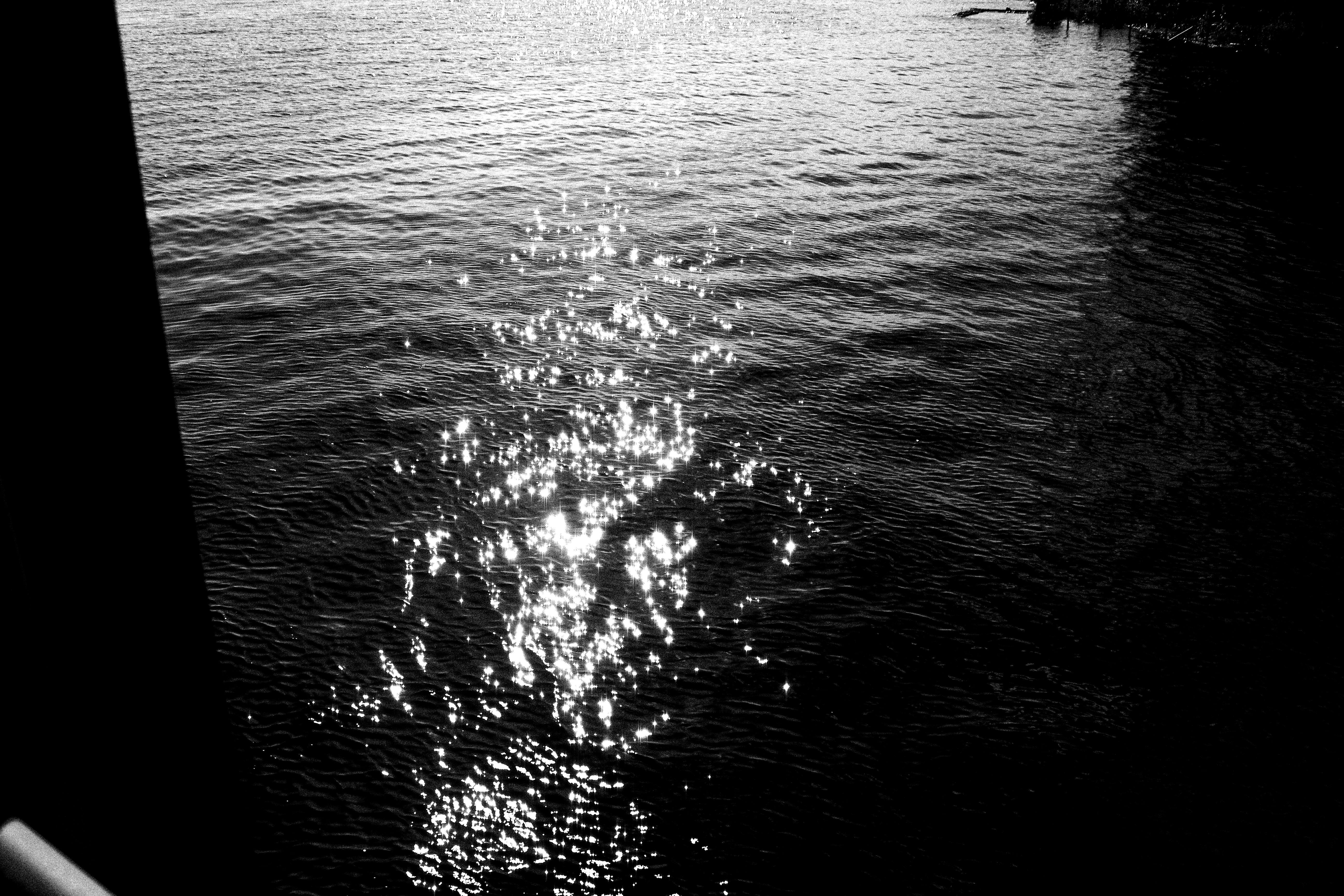 单色图像描绘了水面上闪闪发光的倒影