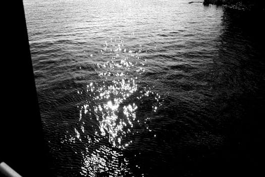 单色图像描绘了水面上闪闪发光的倒影