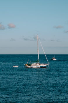 1. 冒险：在蓝色的大海中，你正在寻找冒险的刺激