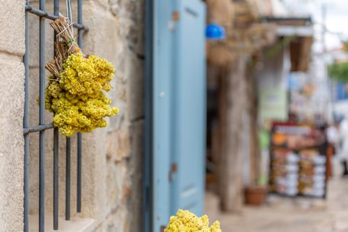 Free Close-up of dried yellow flowers hung on metal bars with a blurred street background. Stock Photo