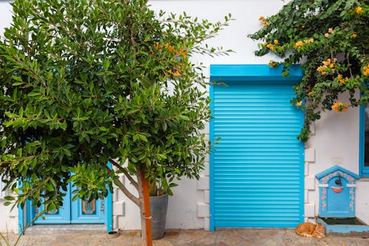 Bright turquoise shutter and lush plants in a Mediterranean courtyard with resting cat.