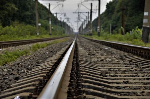 Low angle view of railway tracks stretching into the distance, surrounded by greenery.