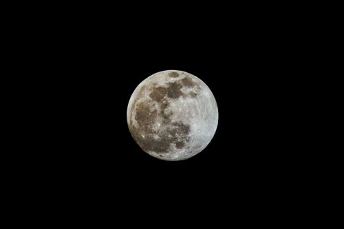 Free Detailed image of a full moon against a black night sky. Stock Photo