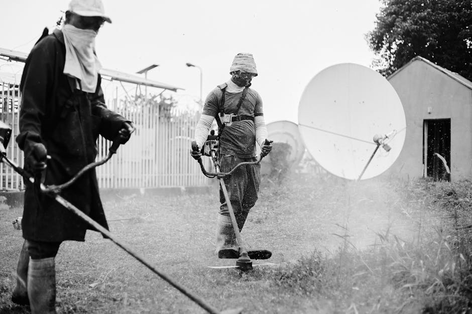 Two workers trim grass near a satellite dish. Black and white photo.