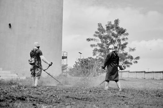 好的，请提供您需要优化的句子